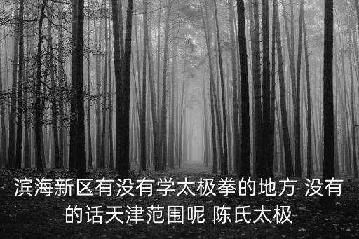 濱海新區有沒有學太極拳的地方 沒有的話天津范圍呢 陳氏太極