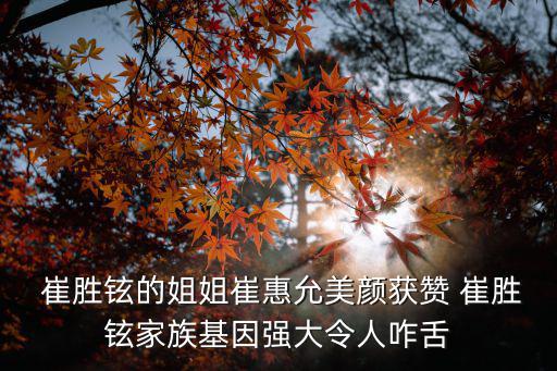  崔勝鉉的姐姐崔惠允美顏獲贊 崔勝鉉家族基因強大令人咋舌