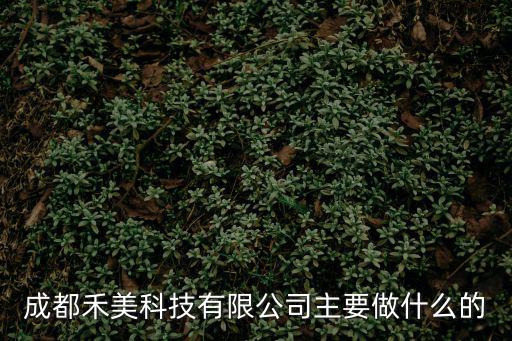 成都市禾多科技有限公司，成都禾美科技有限公司主要做什么的