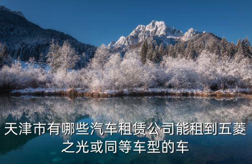 天津市有哪些汽車租賃公司能租到五菱之光或同等車型的車