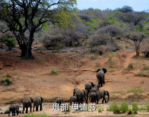 學(xué)生會(huì)退會(huì)申請(qǐng),學(xué)生會(huì)干部太多我國政治新星林瑞蓮當(dāng)選