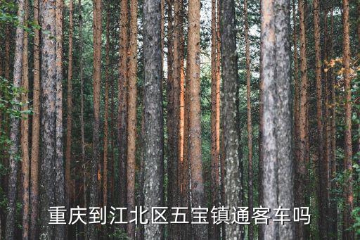 重慶到江北區五寶鎮通客車嗎