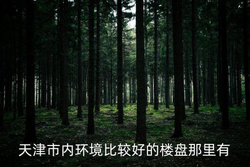天津市中心最好的小區，天津比較好的房子