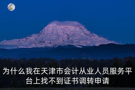 天津市會計從業人員服務平臺，在天津市會計從業人員服務平臺上填寫從業證書申請為什么保存不