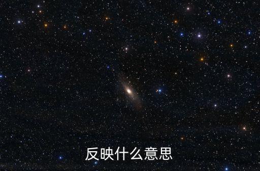 反映什么意思