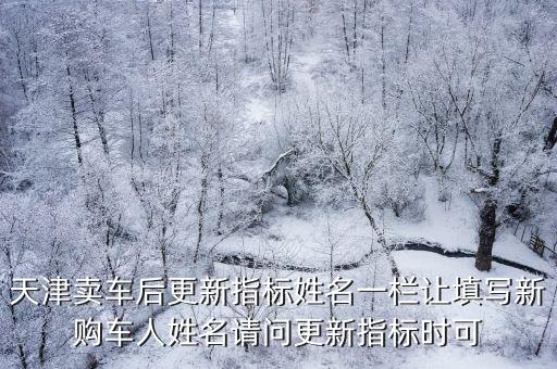 天津市更新指標，天津賣車后更新指標姓名一欄讓填寫新購車人姓名請問更新指標時可