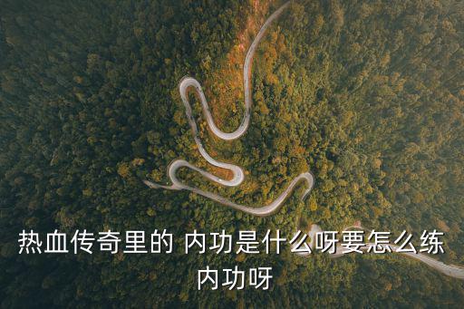熱血傳奇里的 內功是什么呀要怎么練 內功呀