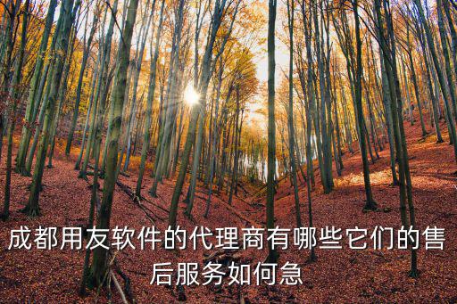 成都用友軟件的代理商有哪些它們的售后服務如何急
