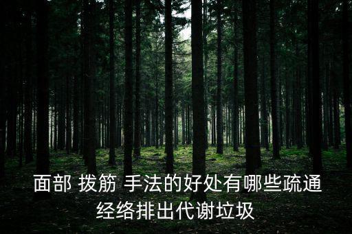 面部撥筋的手法視頻,面部撥筋護理有何講究?