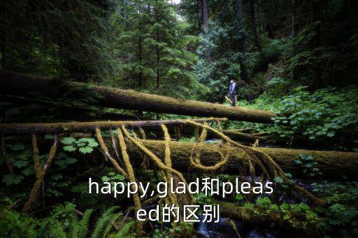 happy同義詞,關于高興和happy的意思