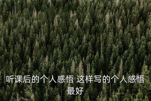 聽課后的個人感悟 這樣寫的個人感悟最好