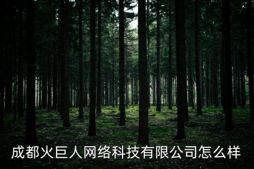 成都火巨人網絡科技有限公司怎么樣