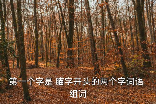 瞄字組詞,第一集:瞄準