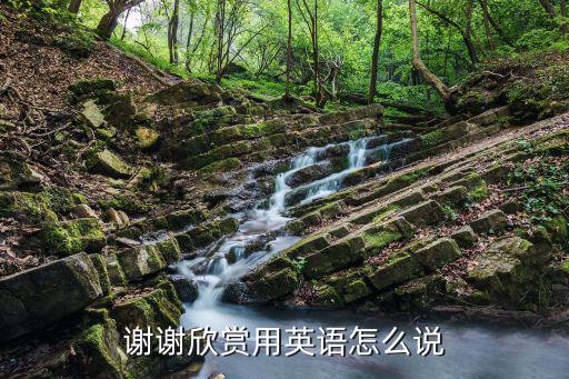 欣賞英文,美國電影公司更愛用thankyou表達謝意