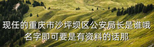 現任的重慶市沙坪壩區公安局長是誰哦名字即可要是有資料的話那