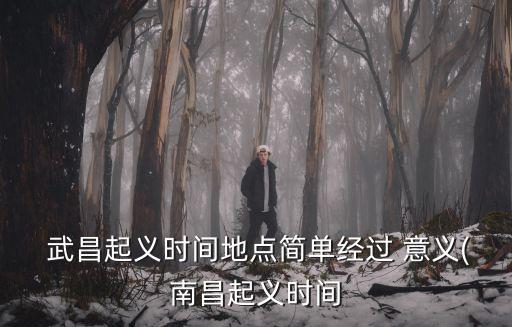  武昌起義時(shí)間地點(diǎn)簡(jiǎn)單經(jīng)過(guò) 意義(南昌起義時(shí)間