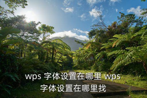  wps 字體設置在哪里 wps 字體設置在哪里找