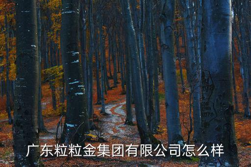 廣東粒粒金集團有限公司怎么樣
