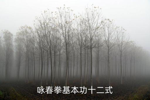 詠春拳基本功十二式