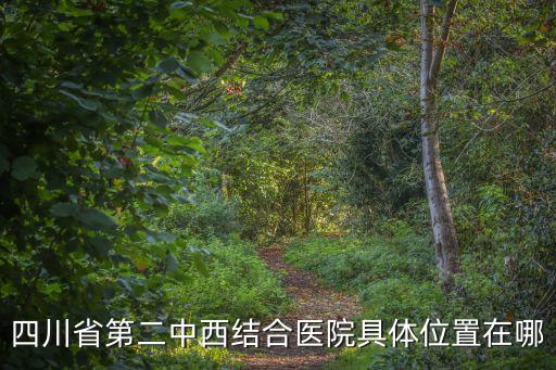 四川省第二中西結合醫院具體位置在哪