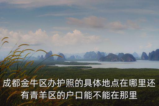 成都市青羊區(qū)出國(guó)護(hù)照辦理點(diǎn)，青羊區(qū)金沙這邊哪個(gè)派出所可以辦護(hù)照具體地址謝謝哈