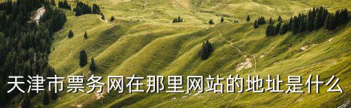 天津市票務網在那里網站的地址是什么