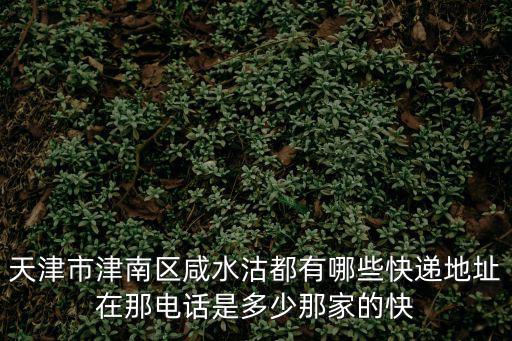 天津市咸水沽分部，咸水沽在那啊