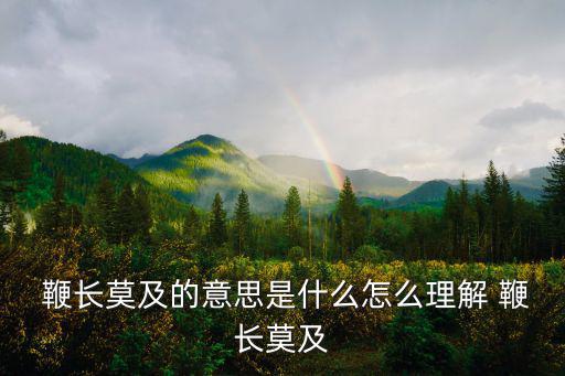  鞭長莫及的意思是什么怎么理解 鞭長莫及