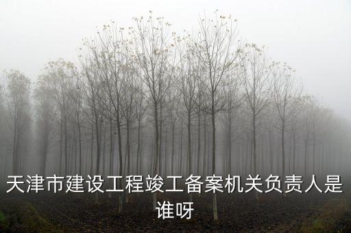 天津市建設(shè)工程竣工備案機(jī)關(guān)負(fù)責(zé)人是誰呀