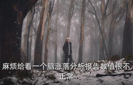 麻煩給看一個腦漲落分析報告數值很不正常