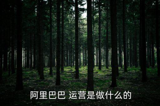 阿里巴巴怎么運營,阿里巴巴上市交易:線上交易線下發行