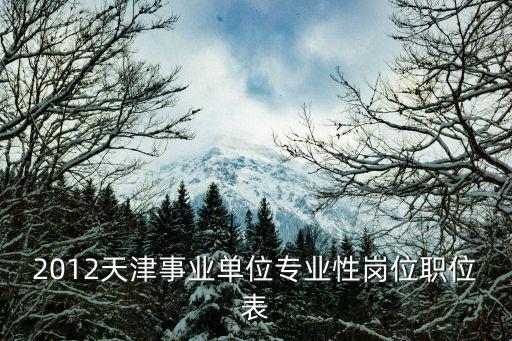 2012天津事業(yè)單位專(zhuān)業(yè)性崗位職位表