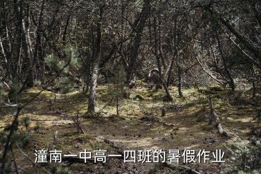 重慶市潼南一中2020年高一14班，潼南一中高一四班的暑假作業