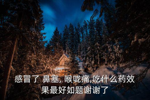 感冒了 鼻塞, 喉嚨痛,吃什么藥效果最好如題謝謝了