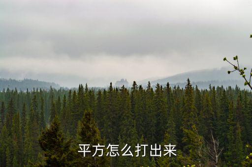  平方怎么打出來