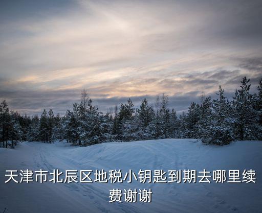 天津市北辰區地稅小鑰匙到期去哪里續費謝謝