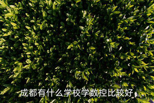 成都有什么學(xué)校學(xué)數(shù)控比較好