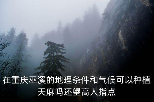 在重慶巫溪的地理條件和氣候可以種植天麻嗎還望高人指點