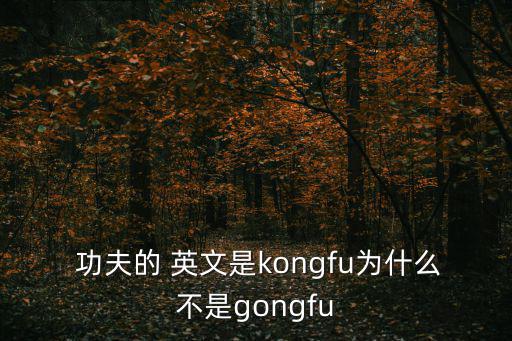  功夫的 英文是kongfu為什么不是gongfu
