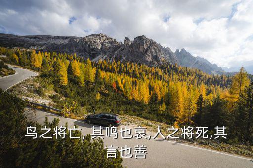 其鳴也哀,鳥將死，其鳴亦悲人之將死其言也善