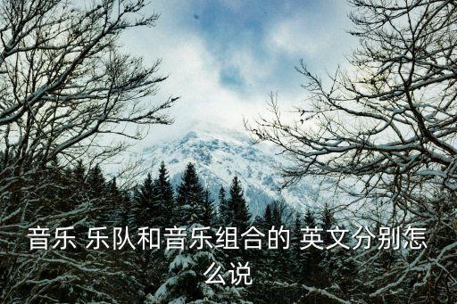 樂隊的英文,12少女樂隊雖有十二名樂手仍不能獨立演奏作品