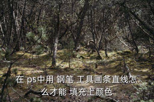 在 ps中用 鋼筆 工具畫條直線怎么才能 填充上顏色