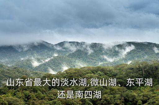 山東省最大的淡水湖,微山湖、東平湖還是南四湖