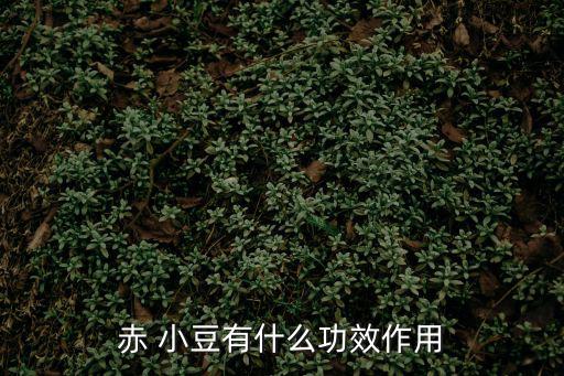 赤小豆的功效與作用,被蛇咬百日內(nèi)應(yīng)避免食用紅小豆