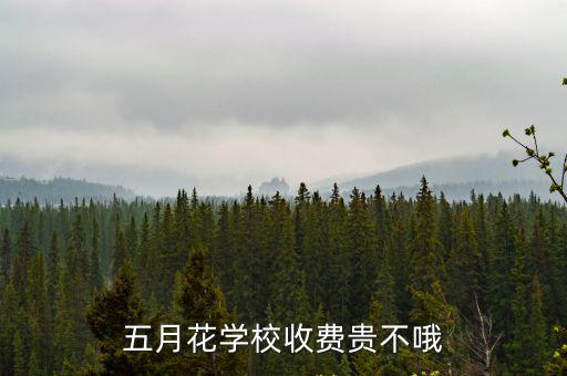 成都市五月花小學收費標準，請問一下 成都五月花收費情況如何啊
