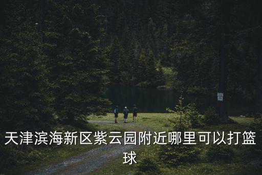 天津濱海新區紫云園附近哪里可以打籃球