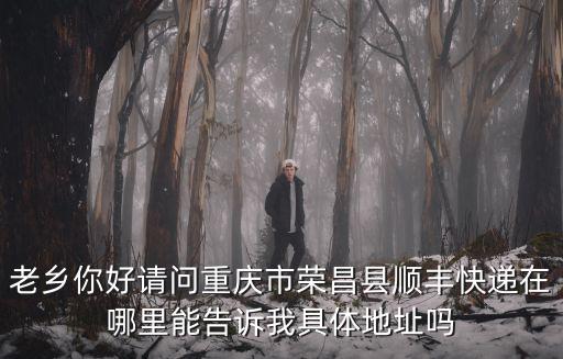 重慶市榮昌區白巷子，德邦快遞網點查詢重慶市榮昌縣德邦快遞在哪里