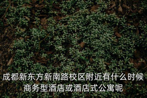 成都市中心公寓為啥便宜，請問在成都市里在那租房比較便宜寫大家了