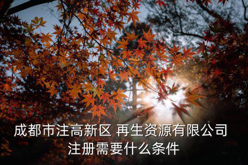 成都市注高新區 再生資源有限公司 注冊需要什么條件