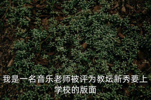 我是一名音樂老師被評(píng)為教壇新秀要上學(xué)校的版面